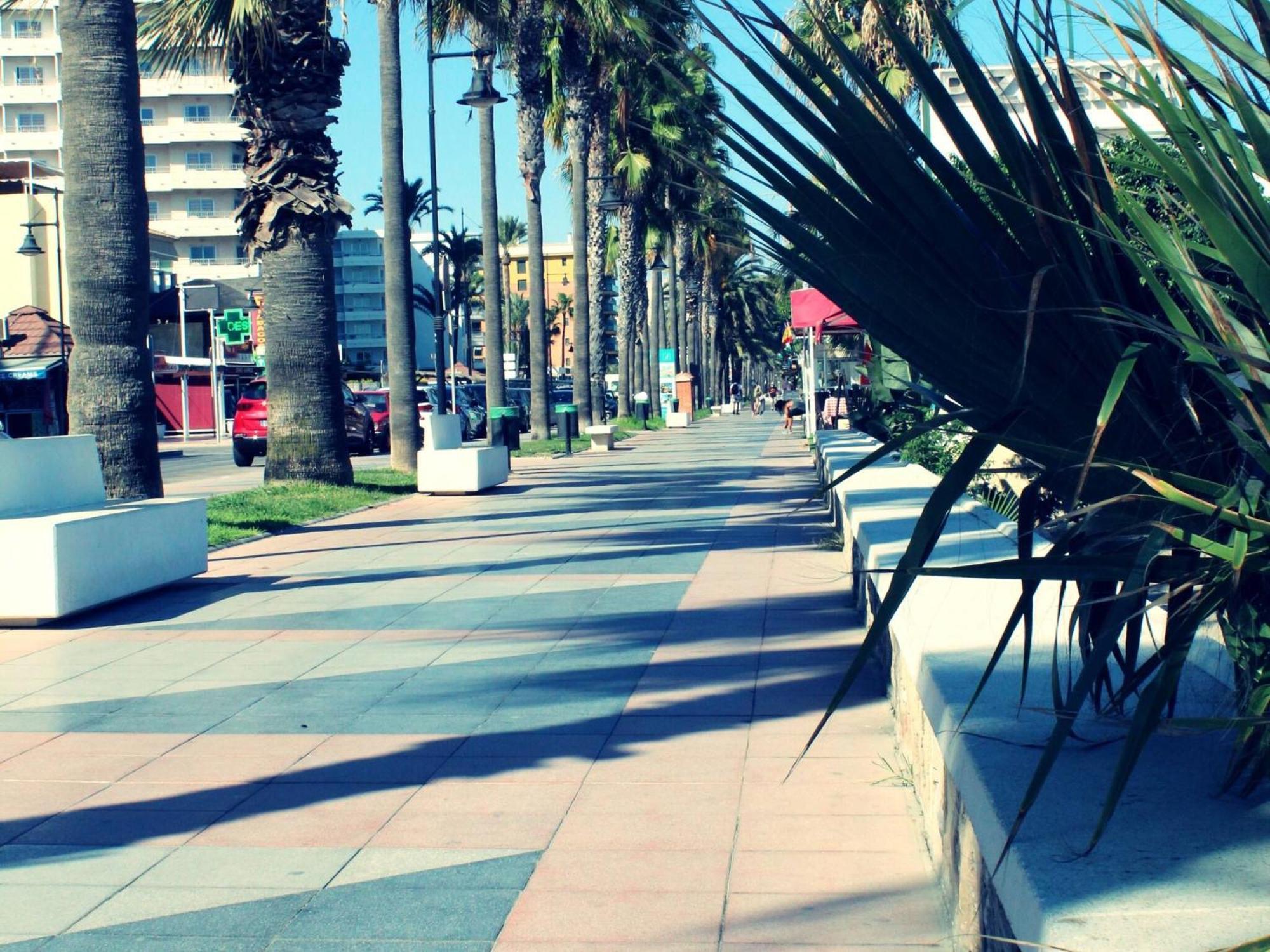 Apartamento Esplendido A Pie De Playa En *