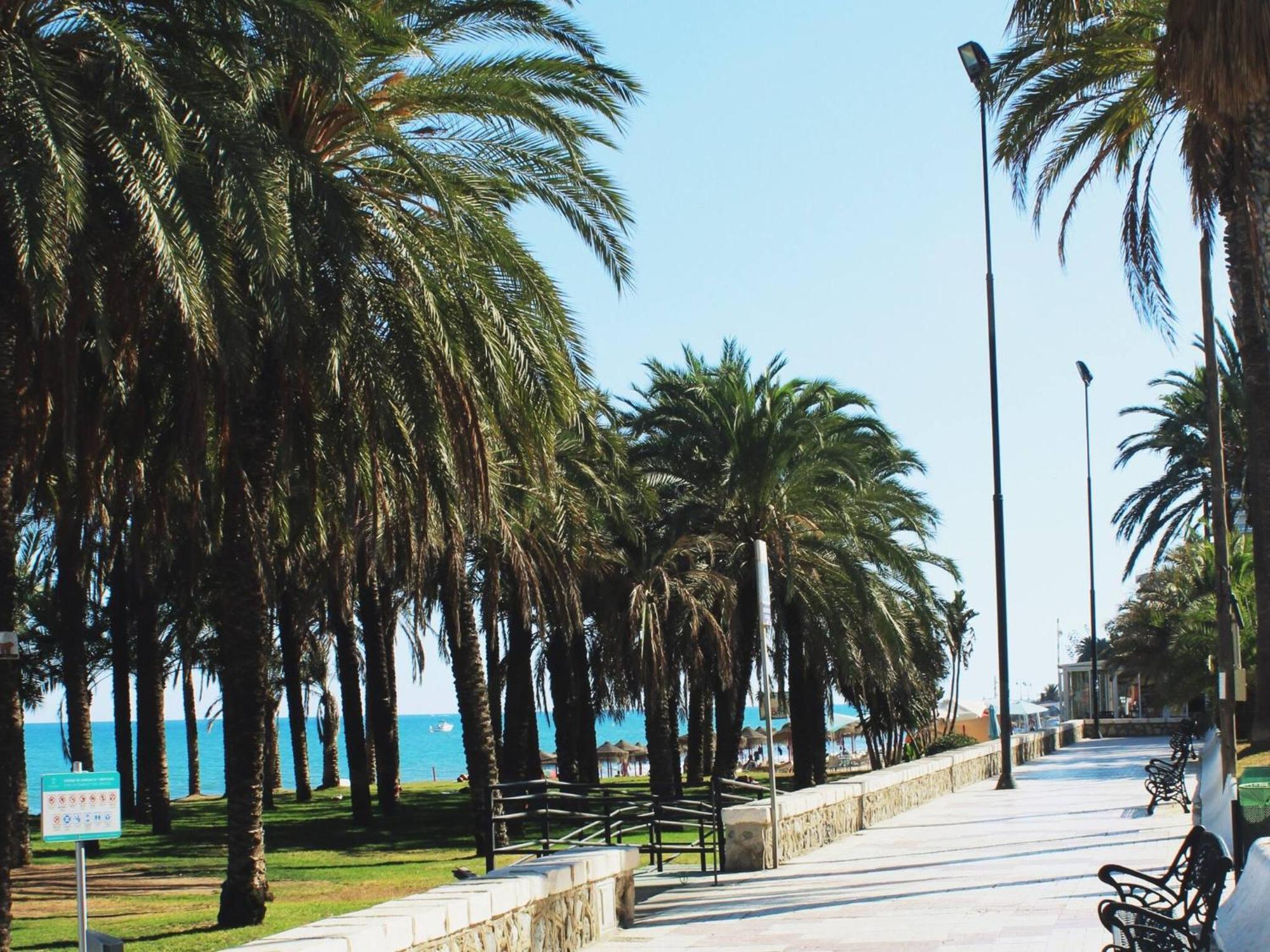 Apartament Esplendido A Pie De Playa En *